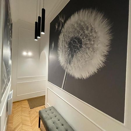 Flower Apartment 布达佩斯 外观 照片