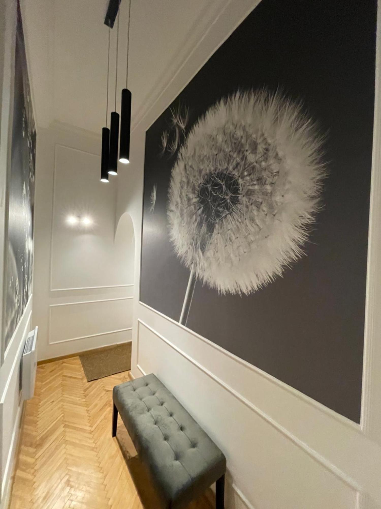 Flower Apartment 布达佩斯 外观 照片