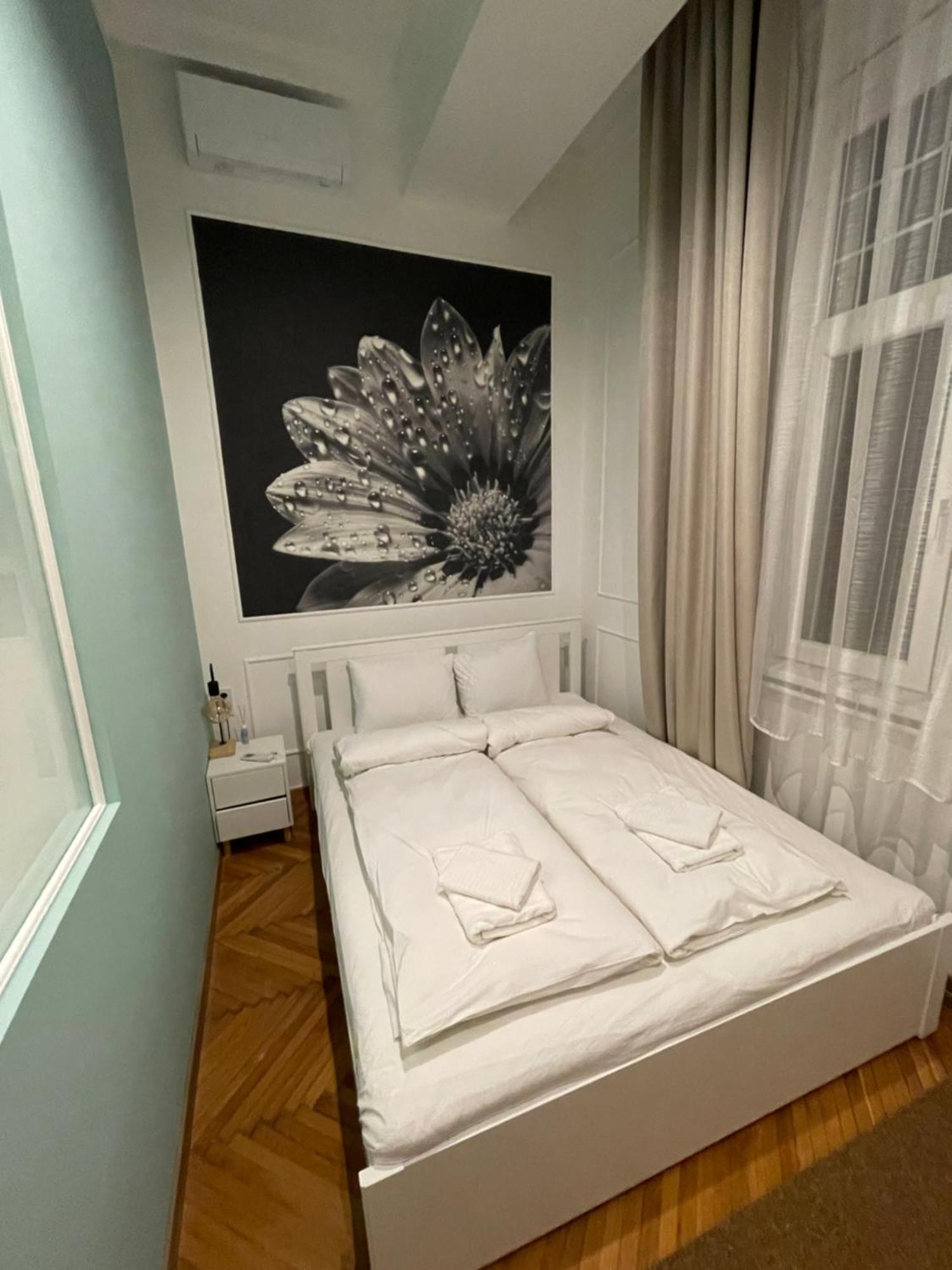 Flower Apartment 布达佩斯 外观 照片
